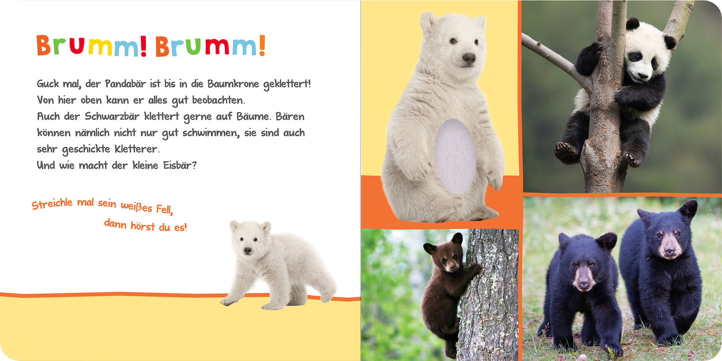 Gezeigt wird eine Innen- oder Zusatzansicht von „Hör mal rein, wer kann das sein? – Kuschelige Tiere“. Der Hintergrund ist in sanften Gelb- und Orangetönen gehalten. In der linken oberen Ecke befindet sich der Titel „Brumm! Brumm!“, der in bunten, verspielten Buchstaben gestaltet ist. Auf der linken Seite steht ein einladender Text, der über Bären informiert. Im rechten Bereich sind mehrere Fotos von verschiedenen Bärenarten abgebildet: ein junger Eisbär, ein Panda, ein...