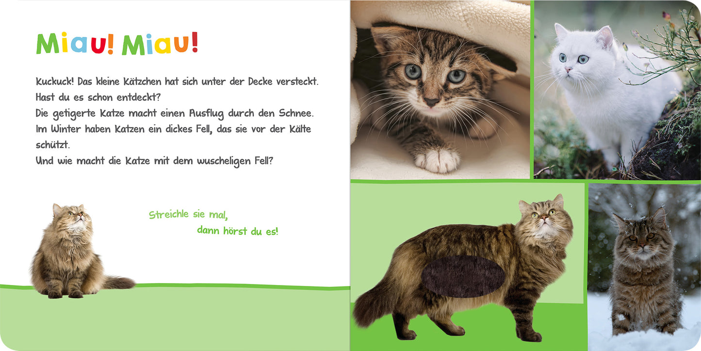Gezeigt wird eine Innen- oder Zusatzansicht von „Hör mal rein, wer kann das sein? – Kuschelige Tiere“. Auf der linken Seite befindet sich ein bunter Text in kräftigen Farben, der humorvoll eine Katze beschreibt. Rechts sind verschiedene Katzenbilder in unterschiedlichen Farbtönen angeordnet: eine getigerte Katze, eine schneeweiße Katze sowie eine plüschige Katze. Die Bilder sind von einer pastelgrünen Fläche umgeben. Die Schrift ist freundlich und kindgerecht gestaltet, mit einer...