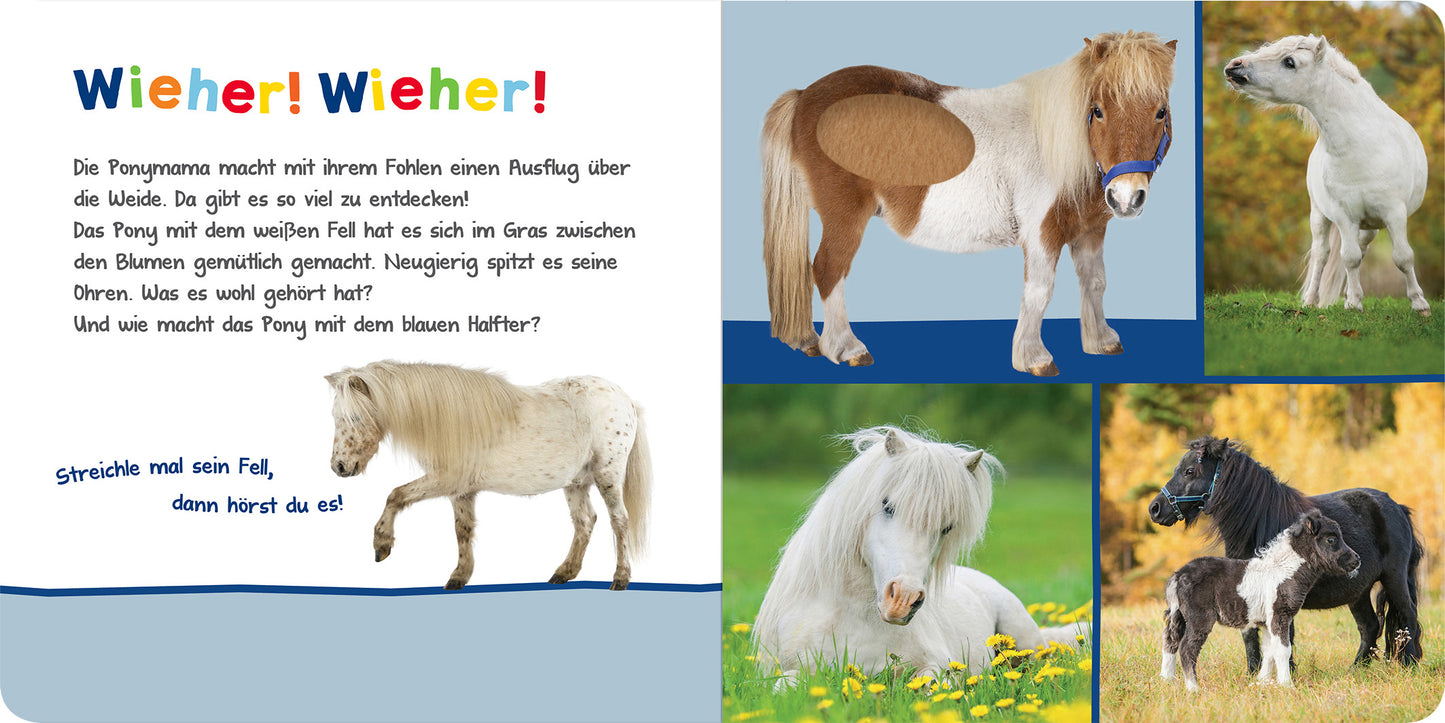 Gezeigt wird eine Innen- oder Zusatzansicht von „Hör mal rein, wer kann das sein? – Kuschelige Tiere“. Der Hintergrund ist in sanften Blau- und Beigetönen gehalten. Bunte, verspielte Schriftzüge wie „Wieher! Wieher!“ ziehen die Aufmerksamkeit auf sich. Auf der linken Seite sind textliche Elemente in kindgerechter Typografie angeordnet, während rechts Bilder von verschiedenen Ponys in unterschiedlichen Posen abgebildet sind. Diese vermitteln eine freundliche und einladende...