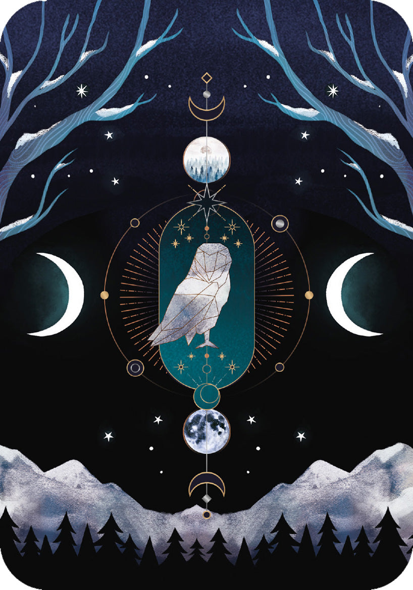 Gezeigt wird eine Innen- oder Zusatzansicht von „Das magische Raunacht-Orakel“. Die Darstellung zeigt eine mystische Szenerie mit dunklem Nachthimmel und leuchtenden Elementen. Im Zentrum ist eine stilisierte Eule vor einem tiefgrünen Hintergrund platziert, umgeben von Mondphasen und glänzenden Sternen. Die kühlen Farben Blau und Schwarz werden durch goldene und weiße Details ergänzt, während elegante, geschwungene Linien die Komposition harmonisch abrunden. Die Typografie ist...