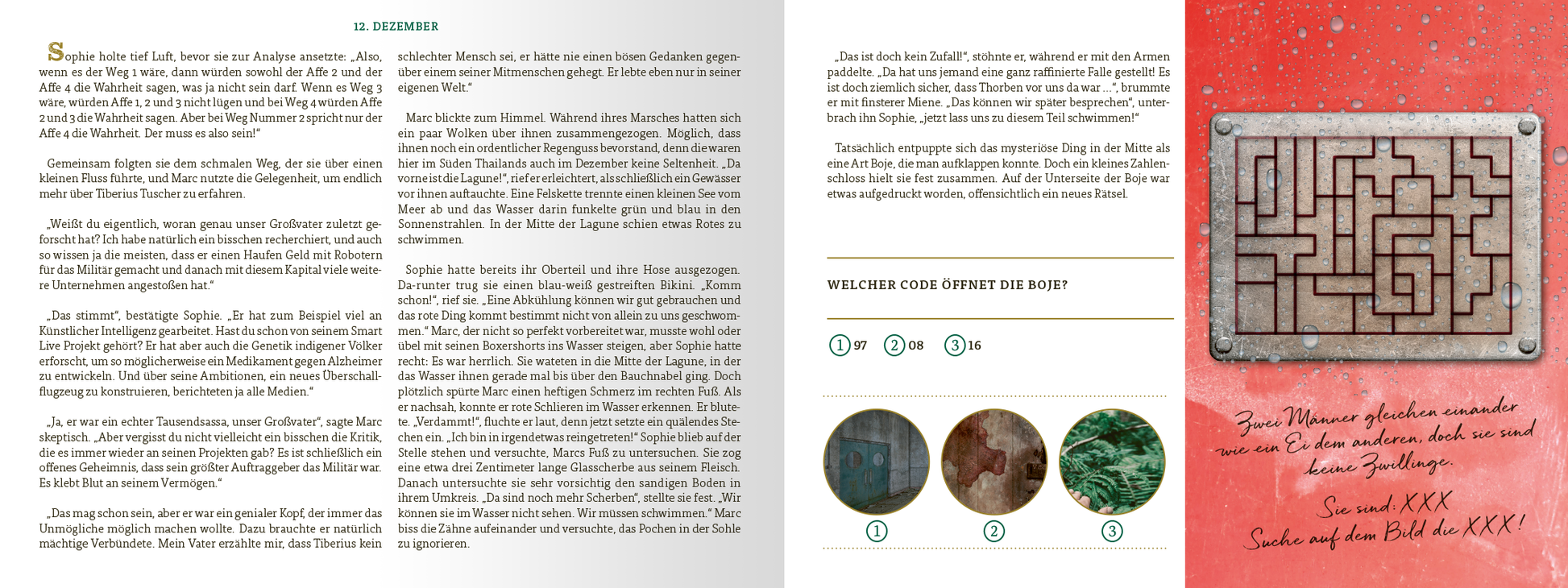 Gezeigt wird eine Innen- oder Zusatzansicht von „Escape Room. Die dunkle Insel“. Die Seite kombiniert einen weißen Hintergrund mit dunkelgrünen und roten Akzenten. Links befindet sich ein Fließtext mit klarer, gut lesbarer Schriftart. Rechts ist eine Bildbeschreibung integriert, die ein labyrinthartiges Muster auf rotem Grund zeigt. Darunter sind drei Illustrationen in runden Kästchen, die verschiedene texturierte Oberflächen darstellen, begleitet von der Frage, welcher Code die Tür...