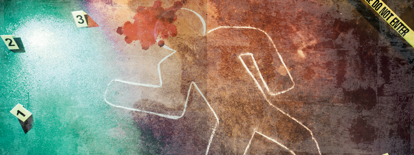 Gezeigt wird eine Innen- oder Zusatzansicht von „Advent, Advent, kein Lichtlein brennt“. Die Abbildung zeigt ein künstlerisches, abstraktes Design in gedeckten Farben wie Grün, Braun und Beige. Im Vordergrund erkennt man eine Kontur eines menschlichen Körpers, die auf den Boden gezeichnet ist, mit blutroten Farbtropfen. Im Hintergrund sind nummerierte Markierungen angebracht, die eine Szene voller Spannung und Dramatik inszenieren. Die Typografie ist modern und klar gehalten.