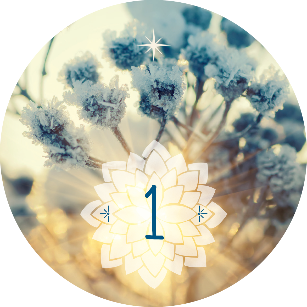 Gezeigt wird eine Innen- oder Zusatzansicht von „Adventskalender in der Dose. 24 Entspannungsmomente für den Advent“. Der Kalender zeigt eine fröhliche, sanfte Farbpalette mit winterlichen Tönen. Im Zentrum befindet sich eine blütenförmige, cremefarbene Grafik mit der Zahl „1“ in eleganter, blauer Schrift. Umrahmt von frostigen Pflanzen im Hintergrund und einem warmen Lichtschein vermittelt die Darstellung eine einladende, beruhigende Stimmung für die Adventszeit.