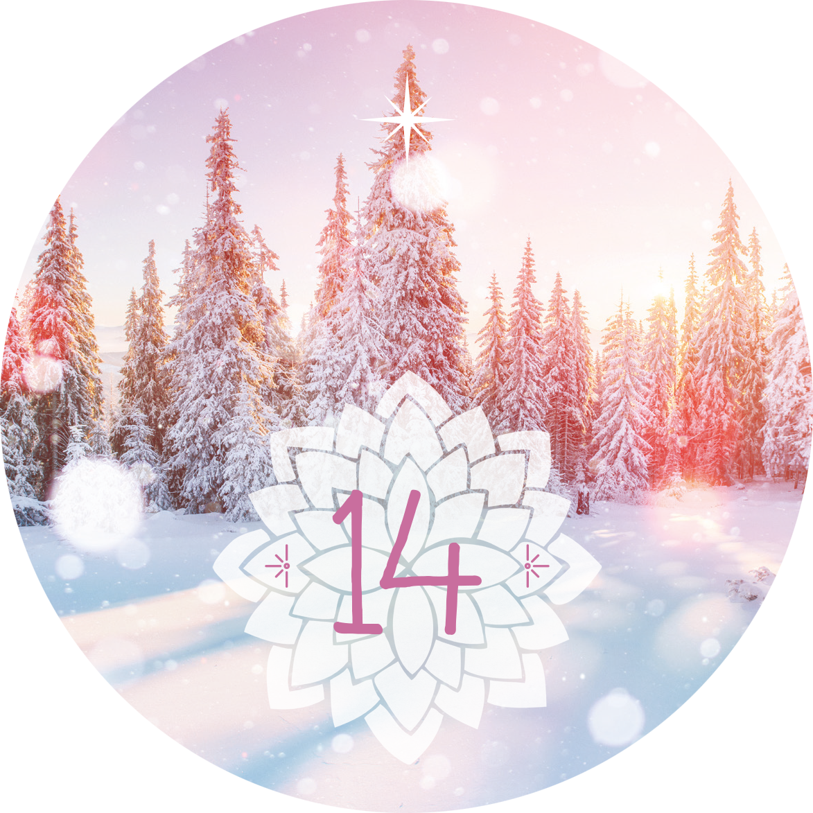 Gezeigt wird eine Innen- oder Zusatzansicht von „Adventskalender in der Dose. 24 Entspannungsmomente für den Advent“. Das Bild zeigt eine winterliche Landschaft mit schneebedeckten Tannenbäumen vor einem pastellfarbenen Himmel. In der Mitte prangt eine stilisierte, weiße Lotusblume mit der Zahl „14“ in geschwungener, rosafarbener Schrift. Sanfte Schneeflocken und Lichtreflexionen verleihen der Szene eine festliche, beruhigende Atmosphäre.