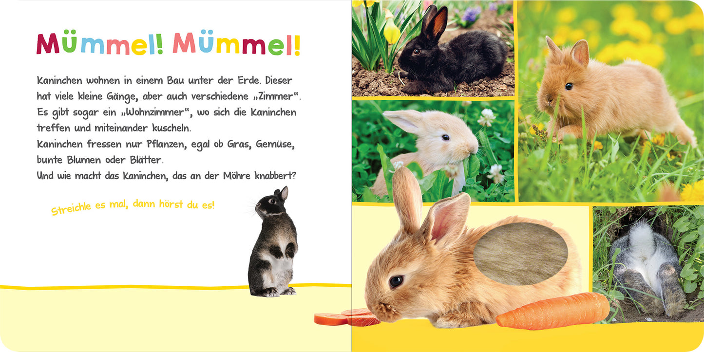 Gezeigt wird eine Innen- oder Zusatzansicht von „Hör mal rein, wer kann das sein? – Im Frühling“. Die Seite zeigt einen bunten Hintergrund mit verschiedenen Farbnuancen von Gelb und Grün. Links steht der Titel „Mümmel! Mümmel!“ in verspielter, großer Typografie. Rechteckige Bilder zeigen süße Kaninchen in unterschiedlichen Posen und Farben, umgeben von Pflanzen und einer Möhre. Der Text beschreibt die Lebensweise der Kaninchen und lädt zum Mitmachen ein.