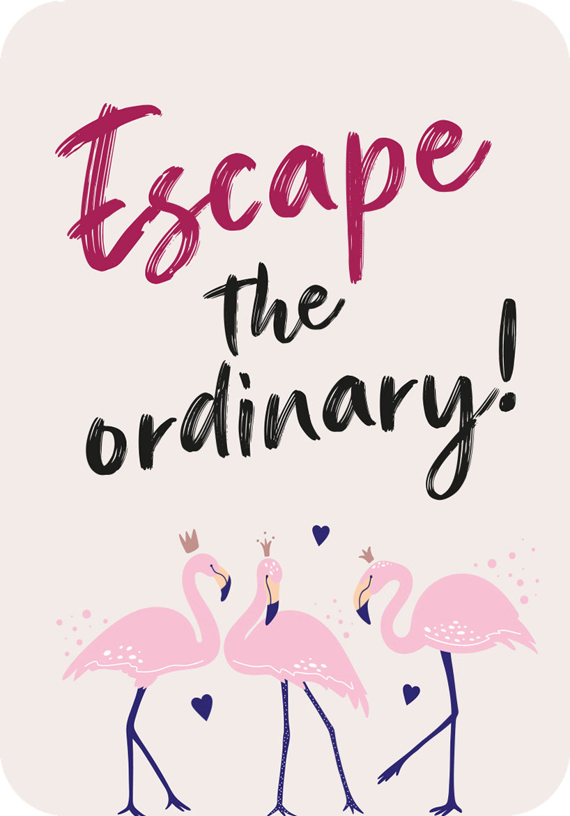 Gezeigt wird eine Innen- oder Zusatzansicht von „Für eine tolle Frau wie dich“. Der Hintergrund ist in sanften Rosatönen gehalten. Im Vordergrund steht der auffällige Schriftzug „Escape the ordinary!“ in einer Mischung aus verspielt geschwungenen und kräftigeren Buchstaben, teils in Dunkelrot und Schwarz. Drei stilisierte Flamingos, die krönchen tragen, sind harmonisch integriert und umgeben von kleinen Herzen, die das fröhliche und einladende Design unterstreichen.