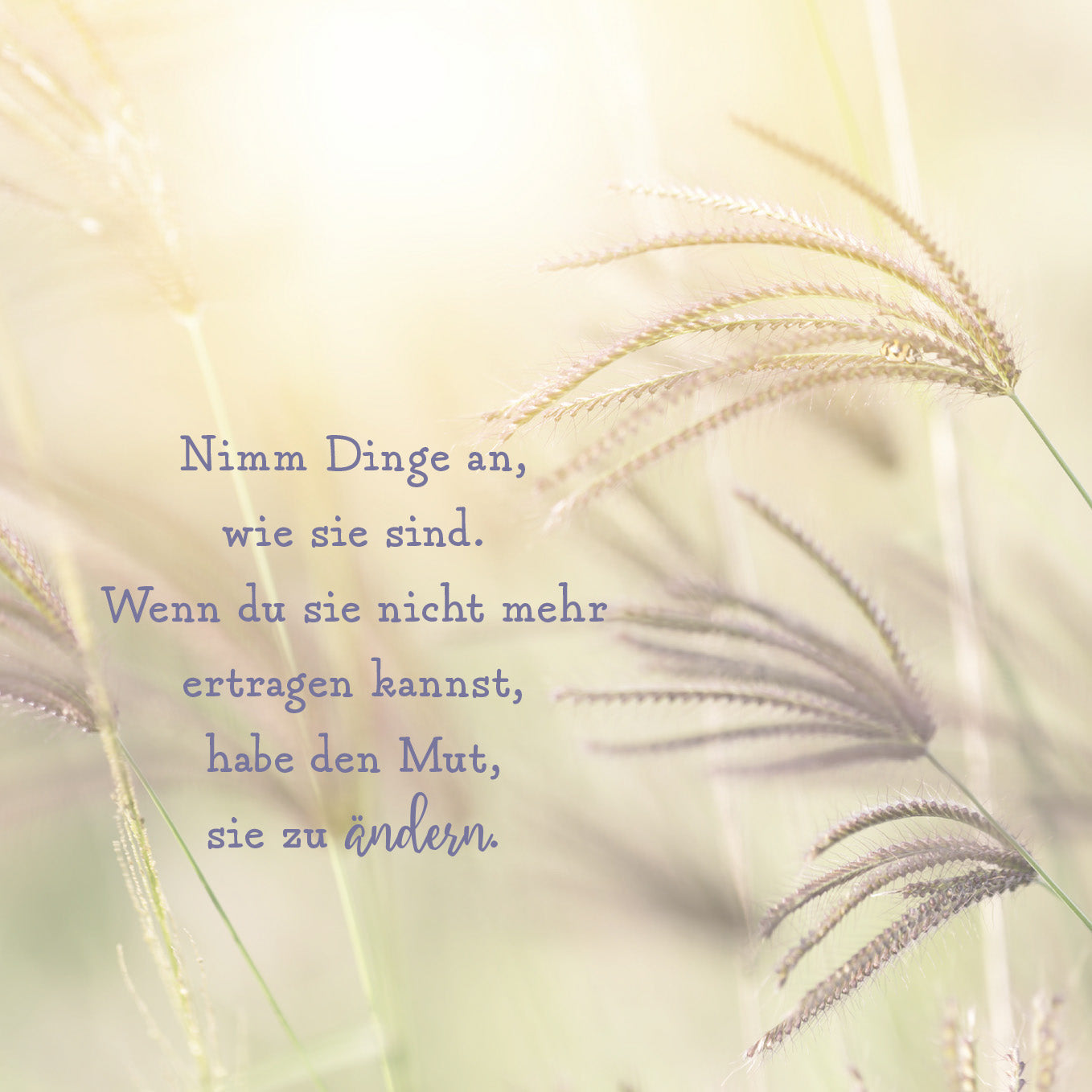 Gezeigt wird eine Innen- oder Zusatzansicht von „Ein Schutzengel für dich“. Der Hintergrund zeigt sanfte, verschwommene Farbtöne in Pastell, die eine beruhigende Atmosphäre schaffen. In der Bildmitte steht der Text in einer eleganten, geschwungenen Schriftart, der in dunklem Blau gehalten ist. Der Inhalt ermutigt zur Akzeptanz und Veränderung und wird von zarten Grashalmen flankiert, die das Bild harmonisch abrunden.