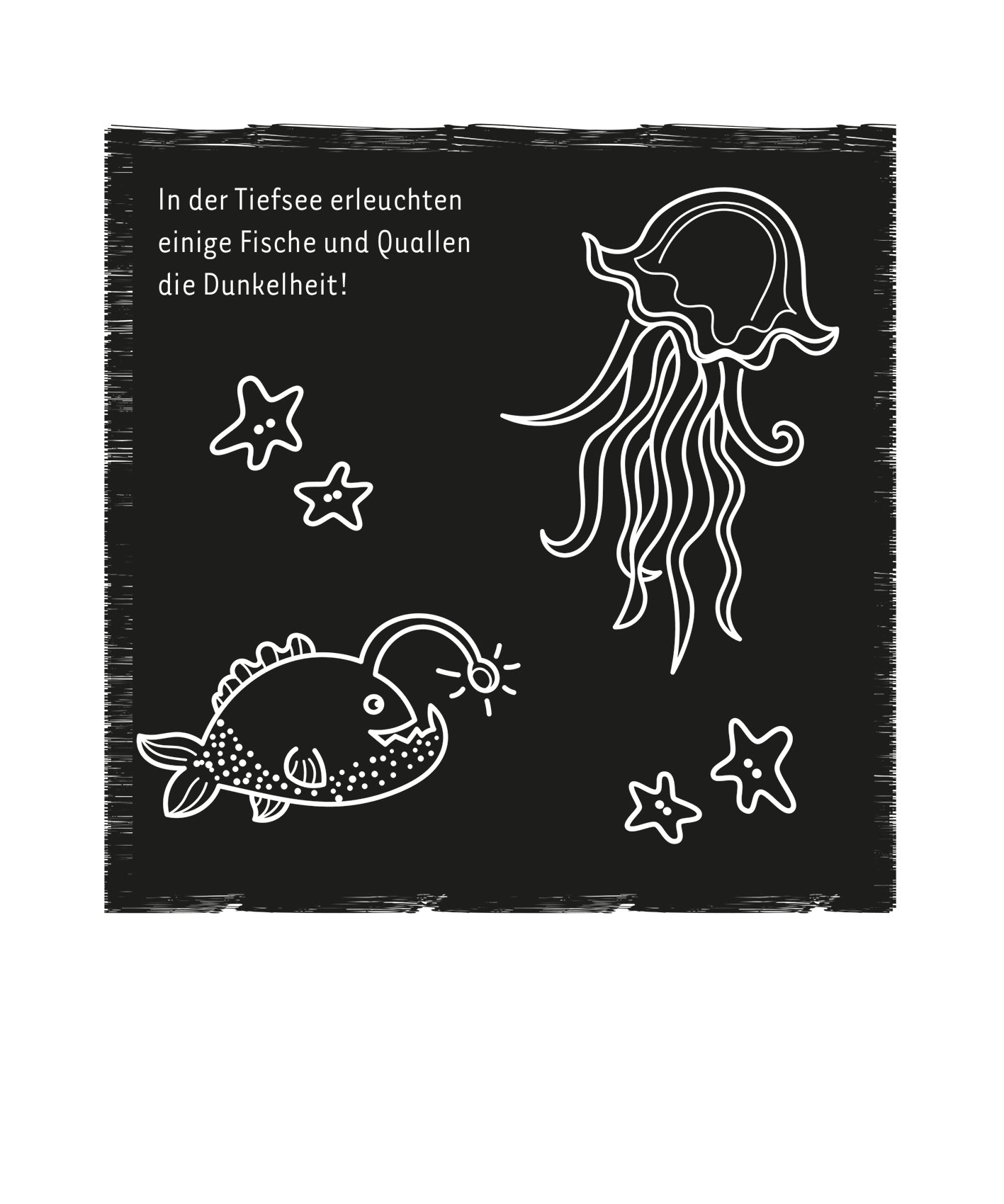 Gezeigt wird eine Innen- oder Zusatzansicht von „Mein leuchtendes Kritzkratz-Buch“. Auf schwarzem Hintergrund sind verschiedene weiße Illustrationen zu sehen, darunter ein anglerfischähnlicher Fisch mit einer Leuchte und eine Quallenzeichnung mit langem Tentakel. Zusätzlich sind einige sternförmige Elemente abgebildet. Die Schrift ist klar und in einer verspielten, gut lesbaren Typografie gehalten. Der Text beschreibt, wie Fische und Quallen die Dunkelheit in der Tiefsee erleuchten.
