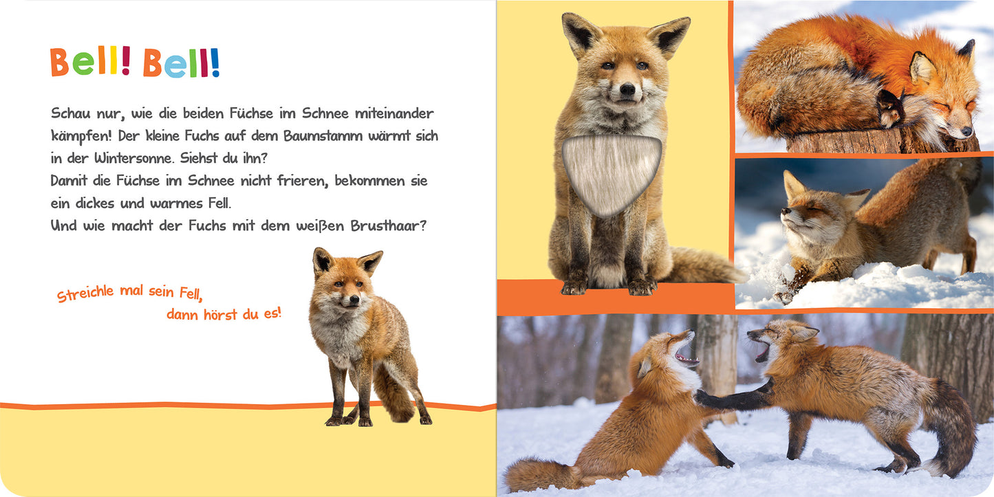 Gezeigt wird eine Innen- oder Zusatzansicht von „Hör mal rein, wer kann das sein? – Winter im Wald“. Die Seite präsentiert eine farbenfrohe Illustration von Füchsen im Schnee, kombiniert mit lebhaften, warmen Tönen wie Orange und Gelb. Der Text ist in einer verspielten, gut lesbaren Schrift gestaltet. Auf der linken Seite ist ein kommentierender Text eingebettet, der zur Interaktion einlädt. Die rechte Seite zeigt verschiedene Fuchsabbildungen in Bewegung und Interaktion, die das...