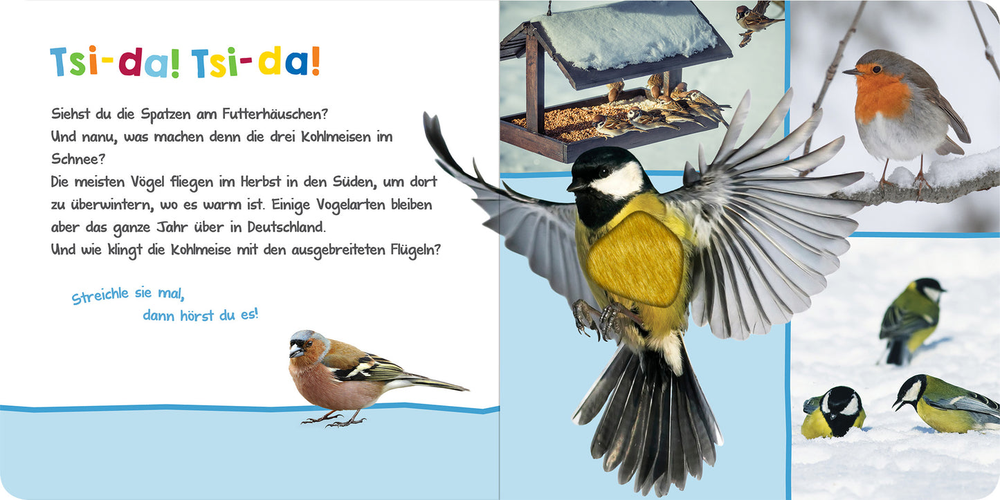 Gezeigt wird eine Innen- oder Zusatzansicht von „Hör mal rein, wer kann das sein? – Winter im Wald“. Die Seite präsentiert eine bunte Illustration mit verschiedenen Vögeln, darunter eine Große Tit, die gerade fliegt. Auf der linken Seite ist ein Text in fröhlichen, kinderfreundlichen Farben gestaltet. Die Schrift ist in einer einladenden, gut lesbaren Typografie gehalten. Die Hintergrundfarbe ist hellblau, was die winterliche Szene unterstreicht. Ein Futterhäuschen ist im oberen...