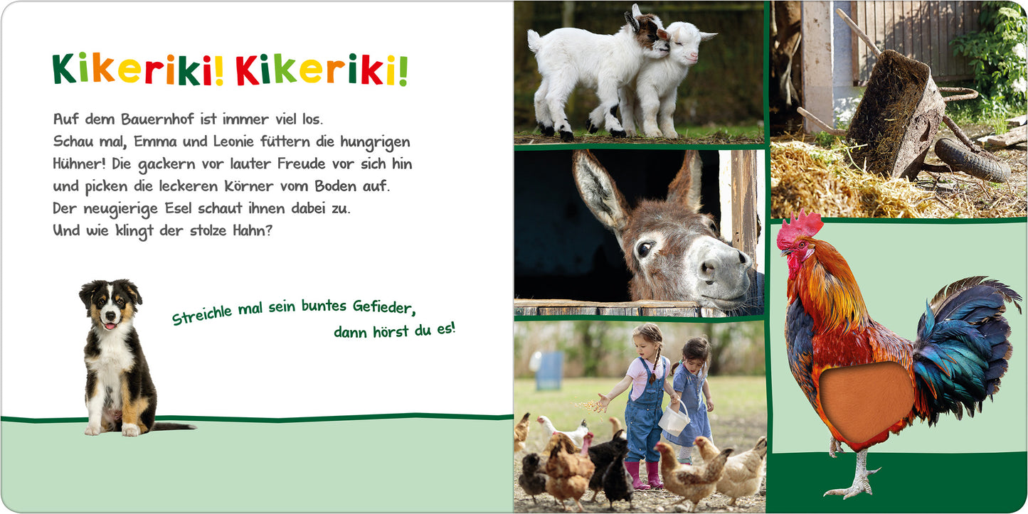 Gezeigt wird eine Innen- oder Zusatzansicht von „Hör mal rein, wer kann das sein? – Auf dem Bauernhof“. Auf der linken Seite befindet sich ein farbenfroher Titel in grüner und roter Schrift. Darunter sind zwei Kinder und ein Hund abgebildet, die auf einem Bauernhof spielen. Die rechte Seite zeigt Bilder von Ziegen, einem Esel und einem Hahn, umgeben von natürlichen, warmen Farbtönen und ländlicher Kulisse. Die Typografie ist freundlich und einladend, ideal für Kinder.