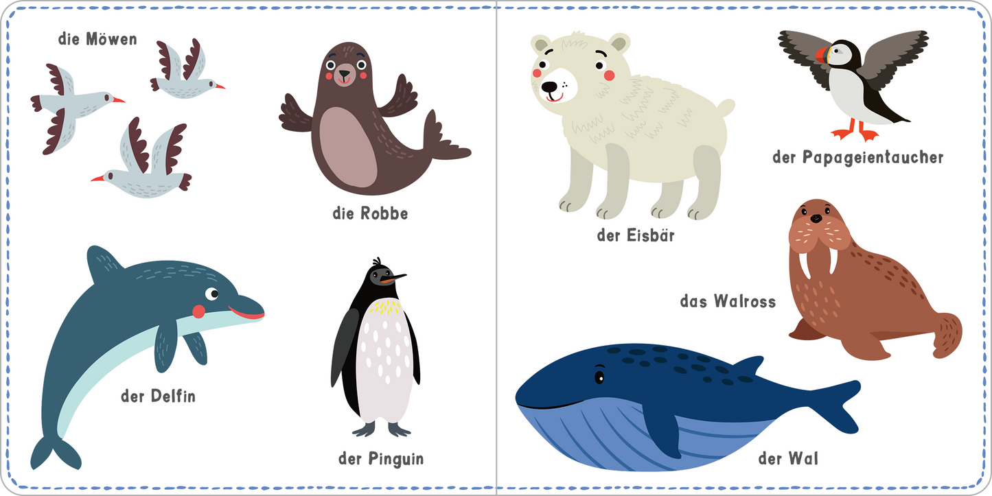 Gezeigt wird eine Innen- oder Zusatzansicht von „Mein kunterbuntes Wörterbuch – Tiere“. Die Seite illustriert verschiedene Tiere in lebendigen Farben. Links sind fliegende Möwen, eine Robbe sowie ein Eisbär zu sehen. Rechts erscheinen ein Delfin, ein Pinguin, ein Walross und ein Wal. Jede Tierillustration ist klar umrandet und mit prägnanten, gut lesbaren Beschriftungen in einer freundlichen Schriftart versehen. Die Verwendung von sanften Pastelltönen schafft eine einladende...
