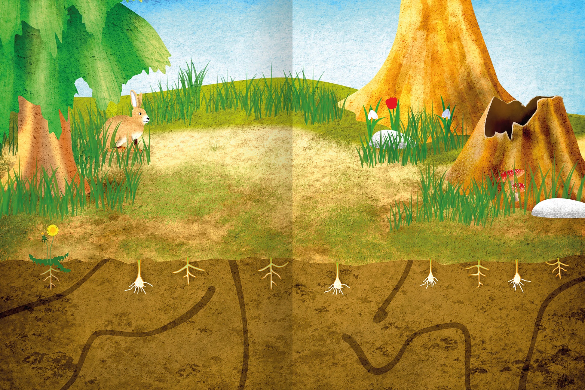 Gezeigt wird eine Innen- oder Zusatzansicht von „Erstes Stickern – Im Frühling“. Die Illustration zeigt eine fröhliche Frühlingslandschaft mit grünen Wiesen und bunten Blumen. Links ist ein kleines Tier, wahrscheinlich ein Kaninchen, zwischen hohem Gras sichtbar. Im Hintergrund stehen prägnante Bäume, deren knorrige Stämme ins Auge fallen. Die Farben sind lebhaft und harmonisch, mit viel Grün, Gelb und Erdtönen. Die verwendete Typografie ist spielerisch und eignet sich gut für...