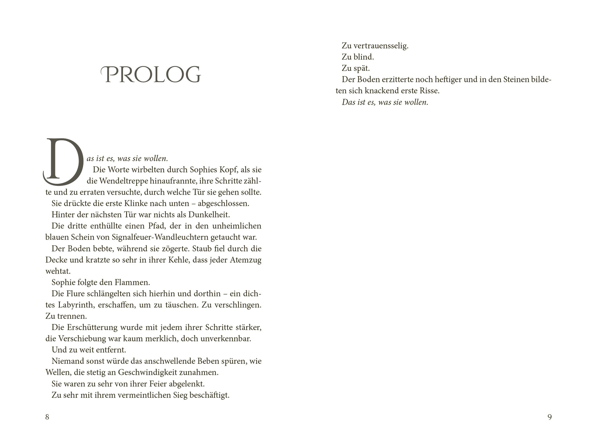 Gezeigt wird eine Innen- oder Zusatzansicht von „Keeper of the Lost Cities – Das Tor“. Die Schrift ist in einer gut lesbaren Serifenschrift auf einem hellen Hintergrund gehalten. Der Text ist in einem gut strukturierten Blocksatz mit einem einheitlichen Zeilenabstand angeordnet.