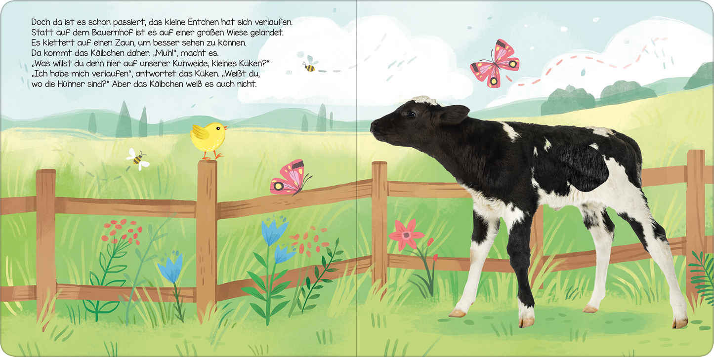 Gezeigt wird eine Innen- oder Zusatzansicht von „Hör mal, kleines Küken!“. Die Illustration zeigt eine idyllische Wiesenlandschaft mit bunten Blumen, Schmetterlingen und einem großen, freundlichen Holzzaun. In der Mitte steht eine schwarz-weiße Kuh, die dem kleinen, gelben Küken gegenübersteht, das auf einem Zaunpfahl sitzt. Der Hintergrund ist in sanften Blau- und Grüntönen gehalten. Die Schrift ist klar und gut lesbar, in einer kindgerechten, verspielten Typografie.