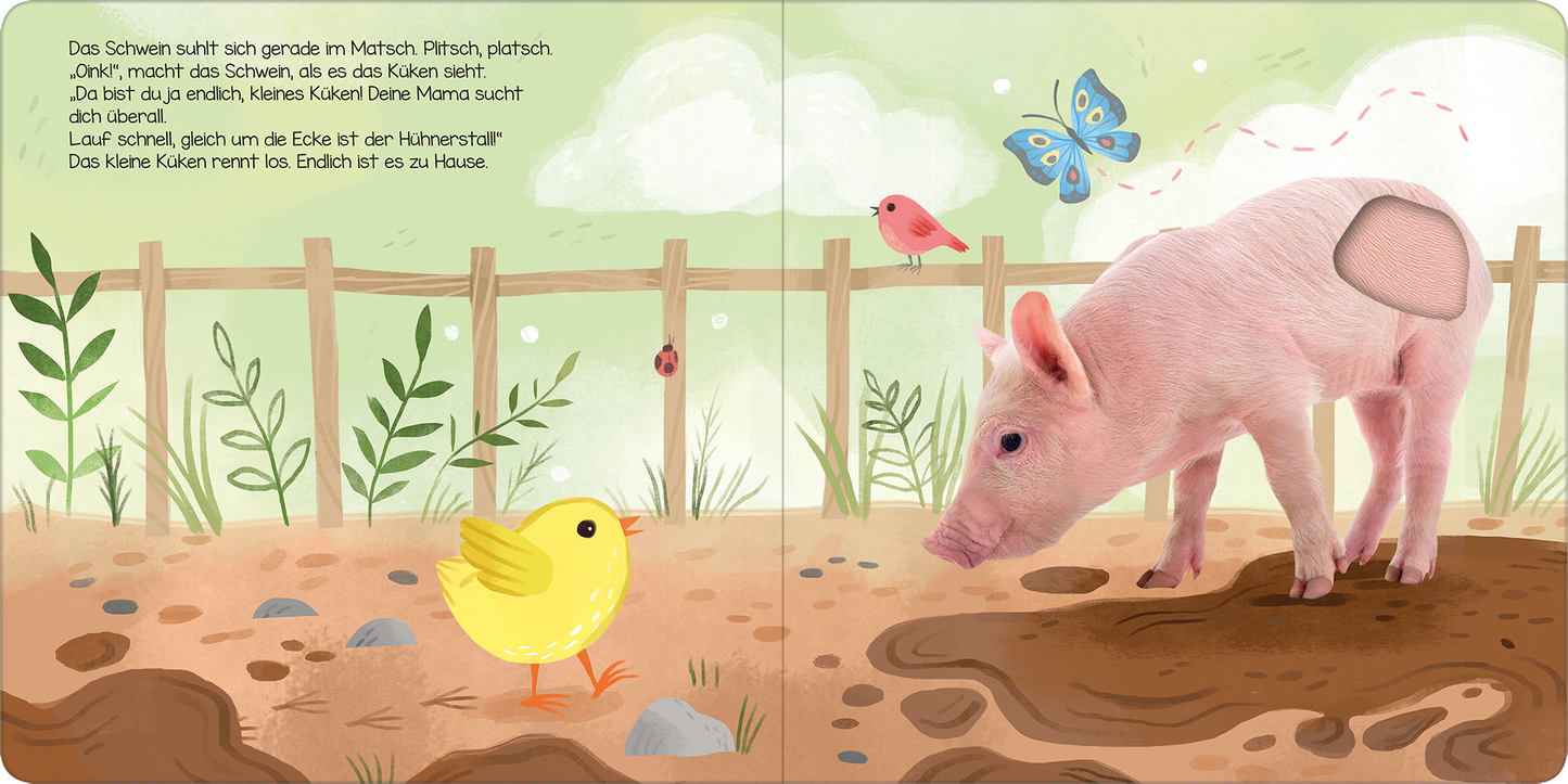 Gezeigt wird eine Innen- oder Zusatzansicht von „Hör mal, kleines Küken!“. Die Seite zeigt einen gelenkigen bunten Illustrationsstil, auf der ein gelbes Küken, ein rosa Schwein, ein rotes Vogelchen und zwei Schmetterlinge zu sehen sind. Der Hintergrund ist in sanften Grüntönen gehalten und zeigt eine einfache Zaunstruktur sowie graue Steine im Vordergrund. Die spielerische Schrift ist gut lesbar und ergänzt die fröhliche Darstellung der Tiere.