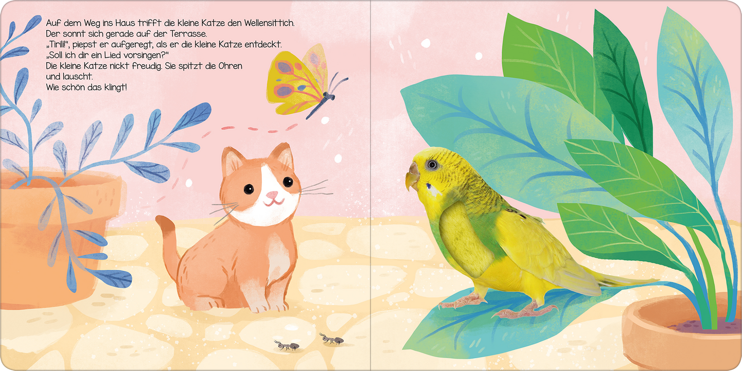 Gezeigt wird eine Innen- oder Zusatzansicht von „Hör mal, kleine Katze!“. Die Illustration zeigt eine freundlich wirkende, kleinere Katze mit orangebraunem Fell und großen, ausdrucksvollen Augen. Sie sitzt auf einem hellen Boden, umgeben von grünen Pflanzen und einem gelben Vogel, der auf einem Blatt sitzt. Ein Schmetterling flattert in lebhaften Farben im Hintergrund. Der Text ist in klarer, verspielter Schrift in Dunkelgrün gedruckt und wird von einem sanften rosa Hintergrund umrahmt.
