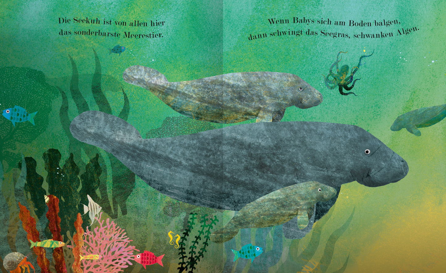 Gezeigt wird eine Innen- oder Zusatzansicht von „Meer“. Die Illustration zeigt eine bunte Unterwasserwelt mit drei Seekühen, die sanft im Wasser schwimmen. Im Hintergrund sind grüne Wasserpflanzen und bunte Korallen zu sehen, die in verschiedenen Farben leuchten. Auf der linken Seite befindet sich eine einladende Schrift in einer freundlichen, kindgerechten Typografie, die Informationen über die Seekühe enthält. Die Farbpalette umfasst sanfte Blau- und Grüntöne, ergänzt durch...