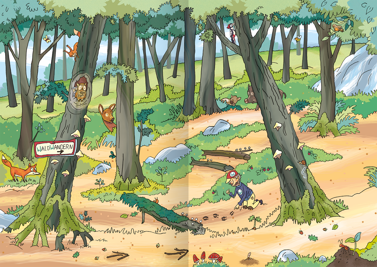 Gezeigt wird eine Innen- oder Zusatzansicht von „Mein Stickerheft – Schule“. Die Illustration zeigt einen bunten Wald mit vielen Bäumen, durch die ein schmaler Weg führt. Auf einem Schild steht „Waldwandern“. Eule, Rehe und Füchse sind in den Bäumen und am Boden verteilt. Die Farben sind lebhaft und setzen sich aus Grüntönen, Erdfarben sowie bunten Akzenten zusammen. Die Typografie ist kindgerecht, freundlich und klar lesbar.
