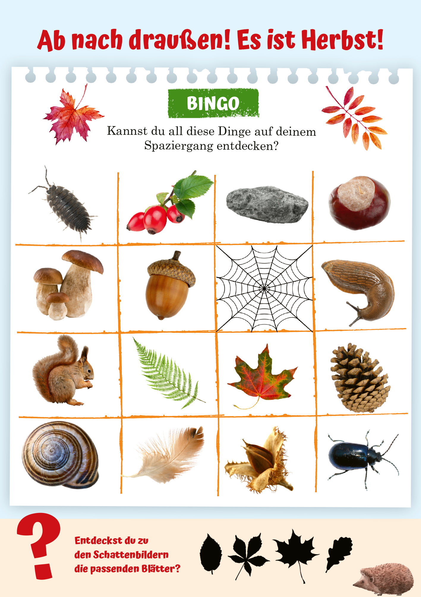 Gezeigt wird eine Innen- oder Zusatzansicht von „Abenteuer-Spaziergänge“. Die Darstellung zeigt ein Bingo-Spiel mit einem Raster von Bildern herbstlicher Elemente, darunter Blätter, Tiere und Objekte wie Eicheln und Pilze. Die Farbpalette umfasst warme Braun- und Grüntöne, ergänzt durch leuchtendes Rot und Gelb. Die typografische Gestaltung ist freundlich, mit der Überschrift „BINGO“ in kräftigem Grün und einer klaren, leicht lesbaren Schrift für die fragende Anleitung.