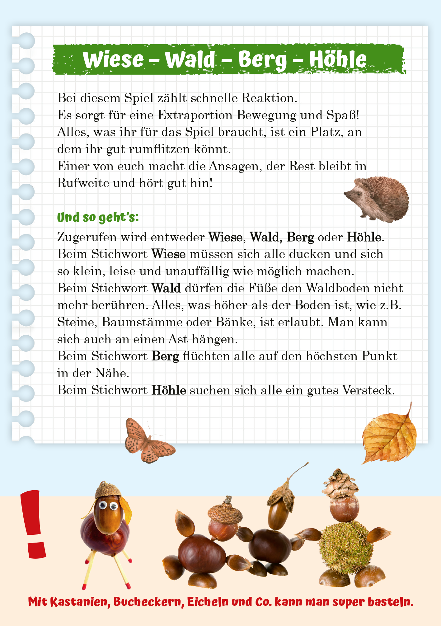 Gezeigt wird eine Innen- oder Zusatzansicht von „Abenteuer-Spaziergänge“. Der Text ist handschriftlich auf einem liniertem Hintergrund angeordnet, in lebendigen Grün- und Brauntönen gehalten. Die Überschrift „Wiese - Wald - Berg - Höhle“ ist auffällig gestaltet und hebt sich durch eine dicke Schrift von der restlichen Typografie ab. Illustrationen von Naturmaterialien wie Kastanien und Eicheln sind am unteren Rand angeordnet, was das spielerische Thema unterstreicht.