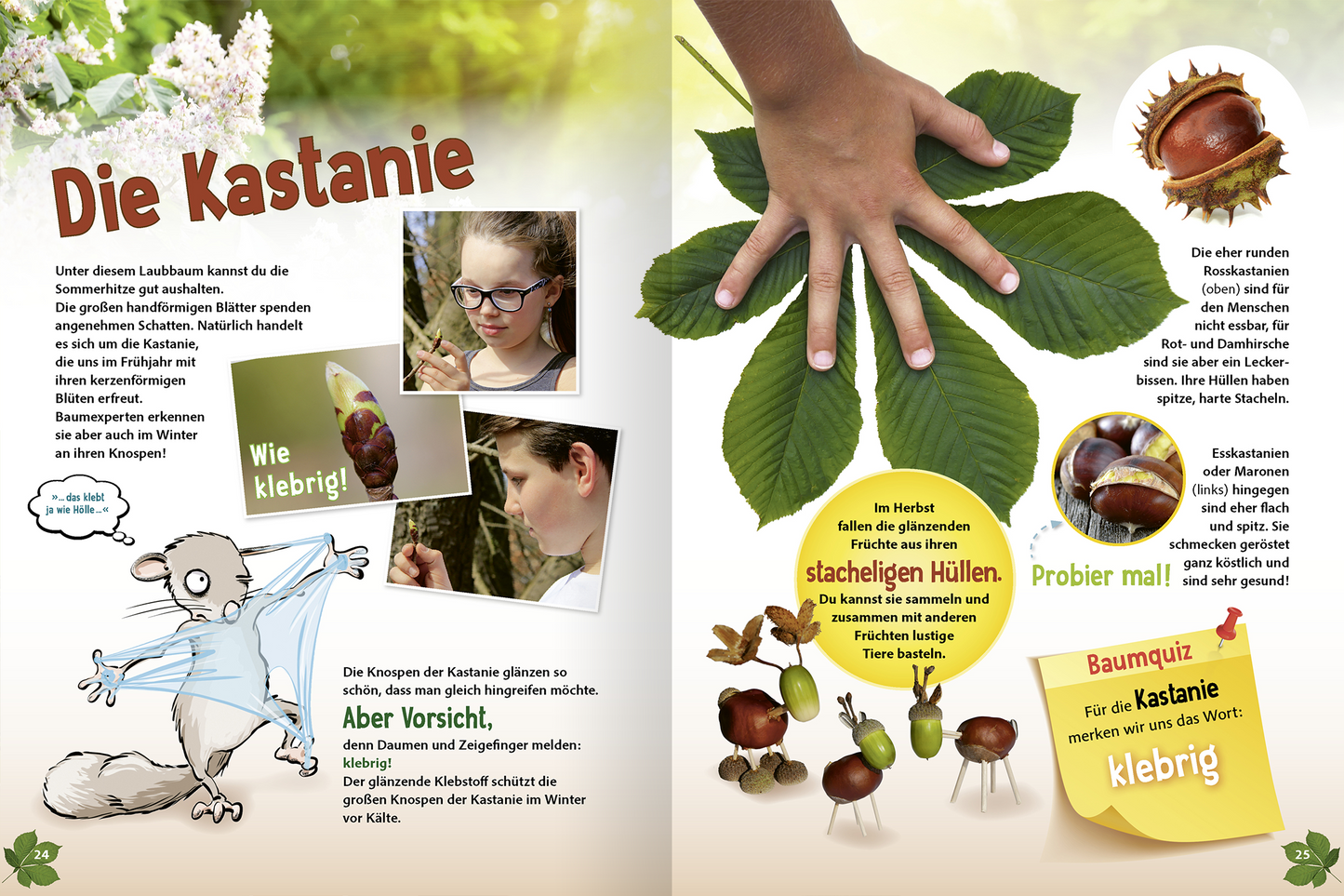 Gezeigt wird eine Innen- oder Zusatzansicht von „Jetzt verstehe ich die Bäume“. Die Seite behandelt das Thema „Die Kastanie“ mit bunten Illustrationen und fotografischen Eindrücken. Zu sehen sind Kinder, die Kastanien bewundern und erkunden. Die Farben sind warm und einladend, mit verschiedenen Grüntönen der Blätter und lebhaften Erdtönen. Die Typografie ist klar und kindgerecht, unterstützt durch anschauliche Hinweise und Quizfragen, die das Lernen spielerisch gestalten.