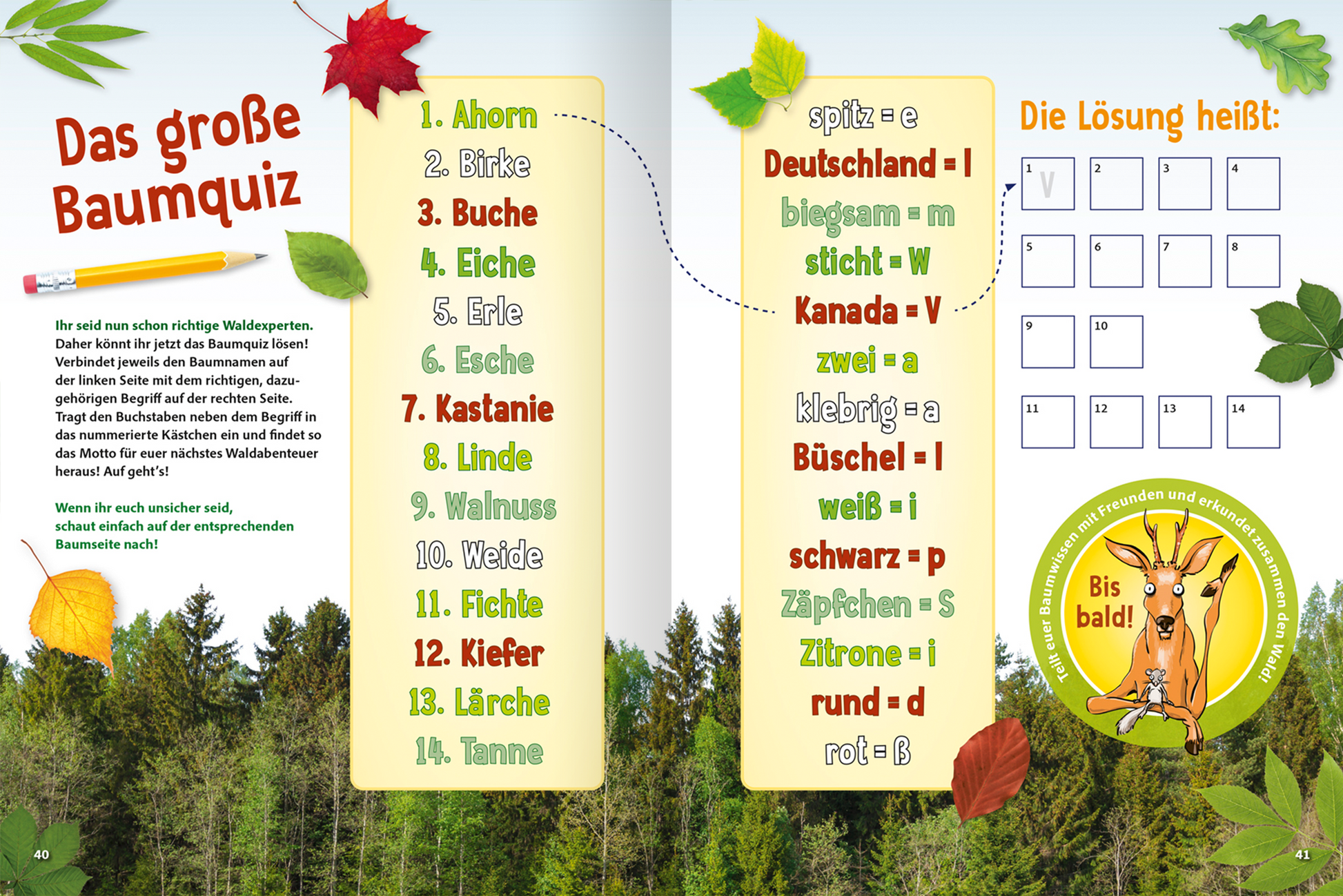 Gezeigt wird eine Innen- oder Zusatzansicht von „Jetzt verstehe ich die Bäume“. Die Seite ist lebhaft gestaltet mit bunten Blättern und Baumillustrationen. Zentrale Elemente sind ein Baumquiz, das auf einer hellgrünen Fläche angeordnet ist, mit farblich unterschiedlichen Schriftarten in Rot, Gelb und Grün. Die Aufzählung der Baumarten ist klar strukturiert und sorgt für eine ansprechende Lesbarkeit. Auf der rechten Seite befindet sich ein Rätselbereich mit einem leeren Lösungsfeld.