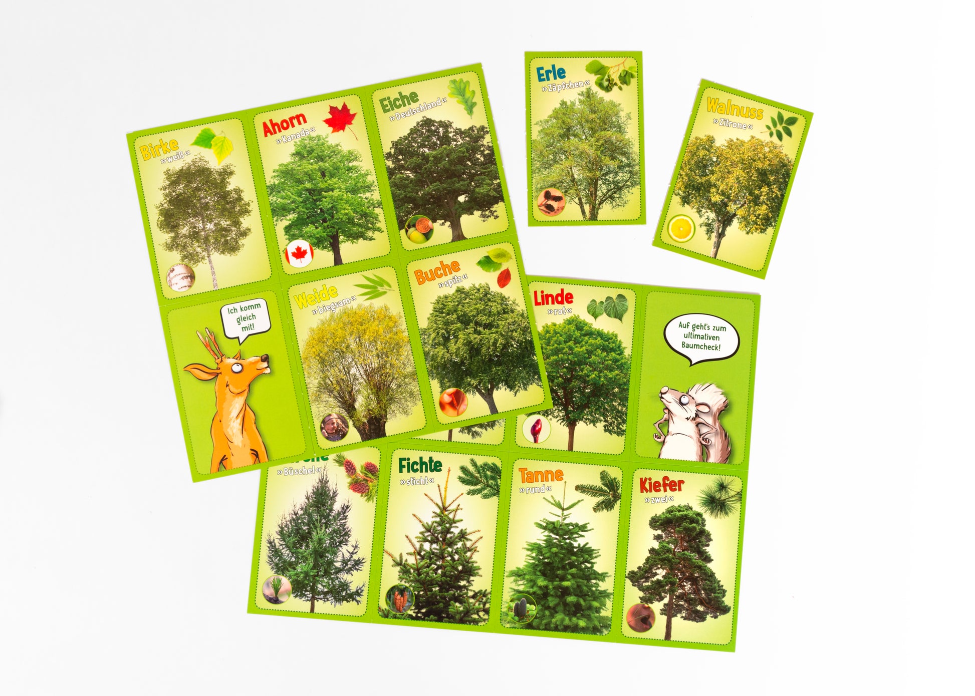 Gezeigt wird eine Innen- oder Zusatzansicht von „Jetzt verstehe ich die Bäume“. Die Ansicht zeigt eine flächendeckende grüne Hintergrundgestaltung mit farbenfrohen Illustrationen von verschiedenen Bäumen. Jeder Baum ist durch große, klare Schrift gekennzeichnet und auf einzelnen Karten abgebildet. Die Typografie ist kindgerecht und gut lesbar. Illustrationen von einem Reh und einem Maus zeigen humorvolle Sprechblasen. Die Gestaltung fördert eine spielerische Auseinandersetzung mit dem...