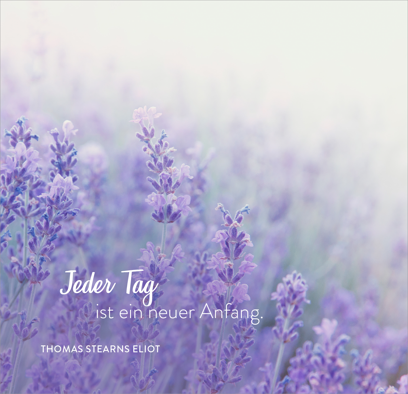 Gezeigt wird eine Innen- oder Zusatzansicht von „365 Wege, dir alles Gute zu wünschen“. Im Vordergrund sind zarte Lavendelblüten in sanften Lila- und Violetttönen abgebildet. Der Hintergrund ist weich und verschwommen, wodurch die Blüten hervorgehoben werden. In geschwungener Schrift steht der Satz „Jeder Tag ist ein neuer Anfang“ und darunter der Name „THOMAS STEARNS ELIOT“ in einer klaren, modernen Schriftart. Die Gesamtgestaltung vermittelt eine ruhige und positive Stimmung.
