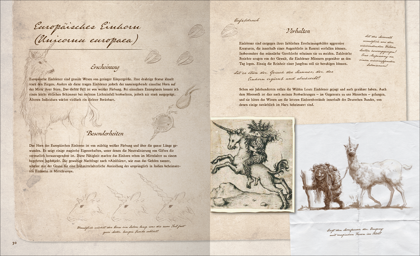 Gezeigt wird eine Innen- oder Zusatzansicht von „Fast verschwundene Fabelwesen. Die sagenhafte Expedition des Konstantin O. Boldt“. Die Seite zeigt eine sanfte, cremefarbene Hintergrundgestaltung, die an Altpapier erinnert. Links ist ein skizziertes europäisches Einhorn abgebildet, umgeben von handschriftlichen Erläuterungen in einer eleganten Serifenschrift. Rechts ist eine detaillierte Illustration eines Einhorns sowie weitere Kreaturen zu sehen, alles in gedeckten Erdtönen gehalten....