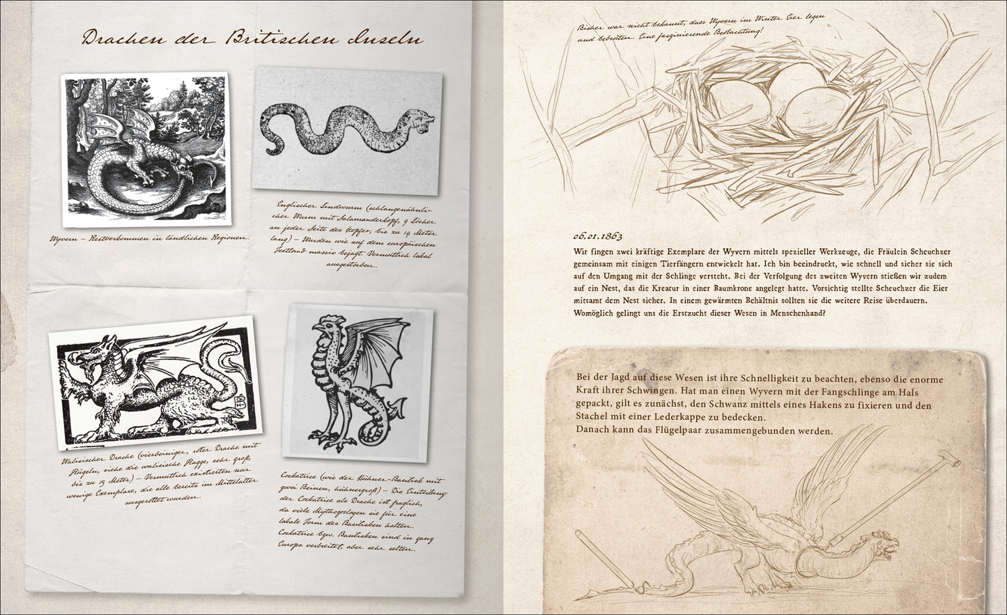 Gezeigt wird eine Innen- oder Zusatzansicht von „Fast verschwundene Fabelwesen. Die sagenhafte Expedition des Konstantin O. Boldt“. Auf der linken Seite sind schwarz-weiße Illustrationen von Fabelwesen wie Drachen und Schlangen zu sehen, umgeben von handschriftlichen Beschreibungen in einer eleganten Serifenschrift. Die rechte Seite zeigt skizzenhafte Darstellungen von Eiern in einem Nest und einem storchenähnlichen Vogel, alles auf einem cremefarbenen Hintergrund, der eine nostalgische...