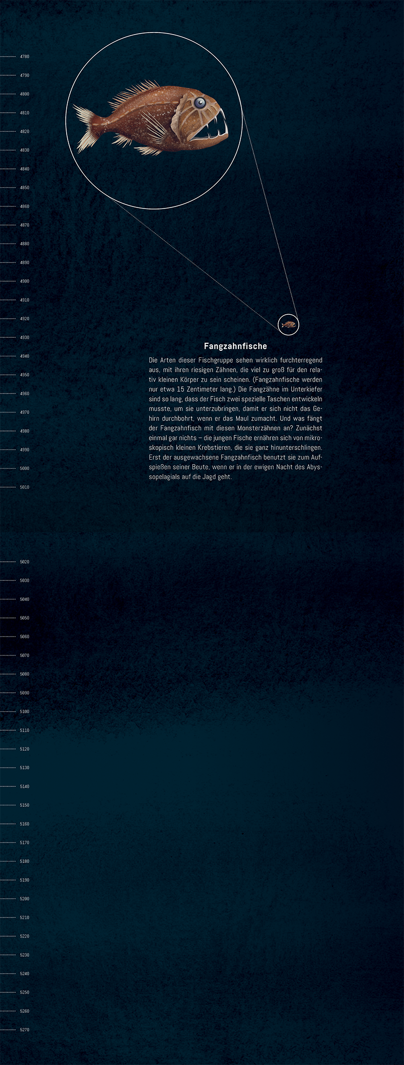 Gezeigt wird eine Innen- oder Zusatzansicht von „Hinab ins tiefe Blau“. Die Seite zeigt einen tiefblauen Hintergrund, auf dem ein illustriertes Fischmotiv deutlich hervorsticht. Es handelt sich um einen orange-braunen Fisch mit auffälligen blauen und weißen Augen. Um den Fisch herum verläuft ein dünner, heller Kreis. Der Text ist in einer klaren, lesbaren Schrift angeordnet und beschreibt das Tier, wobei eine helle Schriftfarbe einen guten Kontrast zum Hintergrund bildet.