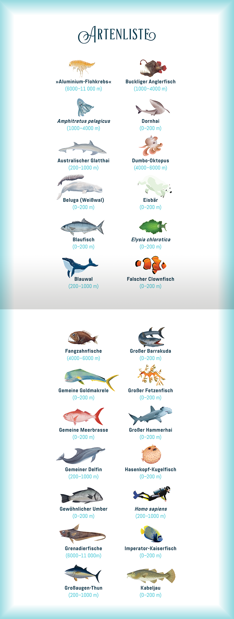 Gezeigt wird eine Innen- oder Zusatzansicht von „Hinab ins tiefe Blau“. Die Darstellung umfasst eine Artenliste von verschiedenen Fischen und Meereslebewesen, die in einer vertikalen Anordnung platziert sind. Jedes Element ist durch ein kleines, farblich gestaltetes Bild gekennzeichnet. Die Schrift ist elegant und gut lesbar, wobei der Titel „Artenliste“ in einer verschnörkelten Typografie hervorgehoben ist. Der Hintergrund ist sanft hellblau, was eine maritime Atmosphäre schafft.