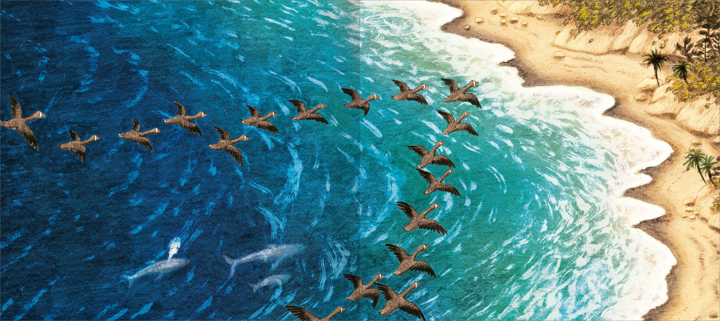 Gezeigt wird eine Innen- oder Zusatzansicht von „Was macht die kleine Gans im Herbst?“. Die Illustration zeigt eine Gruppe von Vögeln, die in einem V-förmigen Muster über funkelndes, türkisblaues Wasser fliegen. Am Rand des Bildes verläuft ein sandiger Strand mit feinen, hellen Strukturen und grünen Pflanzen. Die Farben sind lebhaft und warm, während die Typografie klare, gut lesbare Schriftzüge in sanften Tönen aufweist, die harmonisch in das Gesamtbild integriert sind.