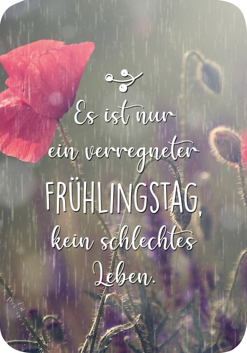 Gezeigt wird eine Innen- oder Zusatzansicht von „Frühlingsmantras“. Die Darstellung zeigt eine sanfte, verschwommene Frühlingslandschaft im Hintergrund, dominiert von sanften Grüntönen und einem zarten Bildelement eines Mohnblumenblattes in Rot. Darauf ist in einer geschwungenen, weißen Schrift der Text „Es ist nur ein verregneter FRÜHLINGSTAG, kein schlechtes Leben.“ hervorgehoben, was dem Bild eine positive und optimistische Botschaft verleiht.