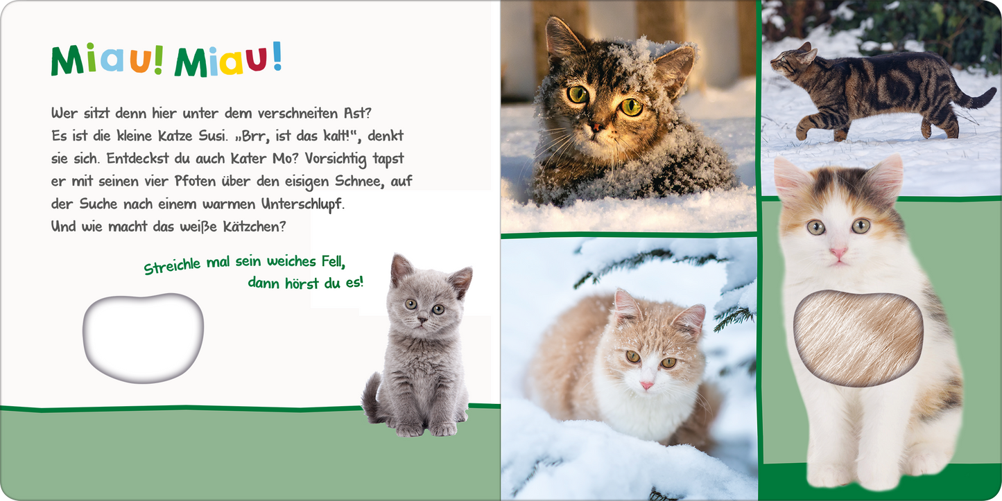 Gezeigt wird eine Innen- oder Zusatzansicht von „Hör mal rein, wer kann das sein? – Kleine Tiere im Schnee“. Die Seite ist farbenfroh gestaltet und zeigt vier verschiedene Katzenbilder in einem winterlichen Umfeld. In leuchtenden Farben präsentiert sich der Titel „Miau! Miau!“ in verspielter Typografie. Links befindet sich ein Text mit Fragen, um das Kind zum Mitmachen anzuregen. Ein großer, runder Ausschnitt lädt dazu ein, das weiche Fell einer Katze zu berühren.