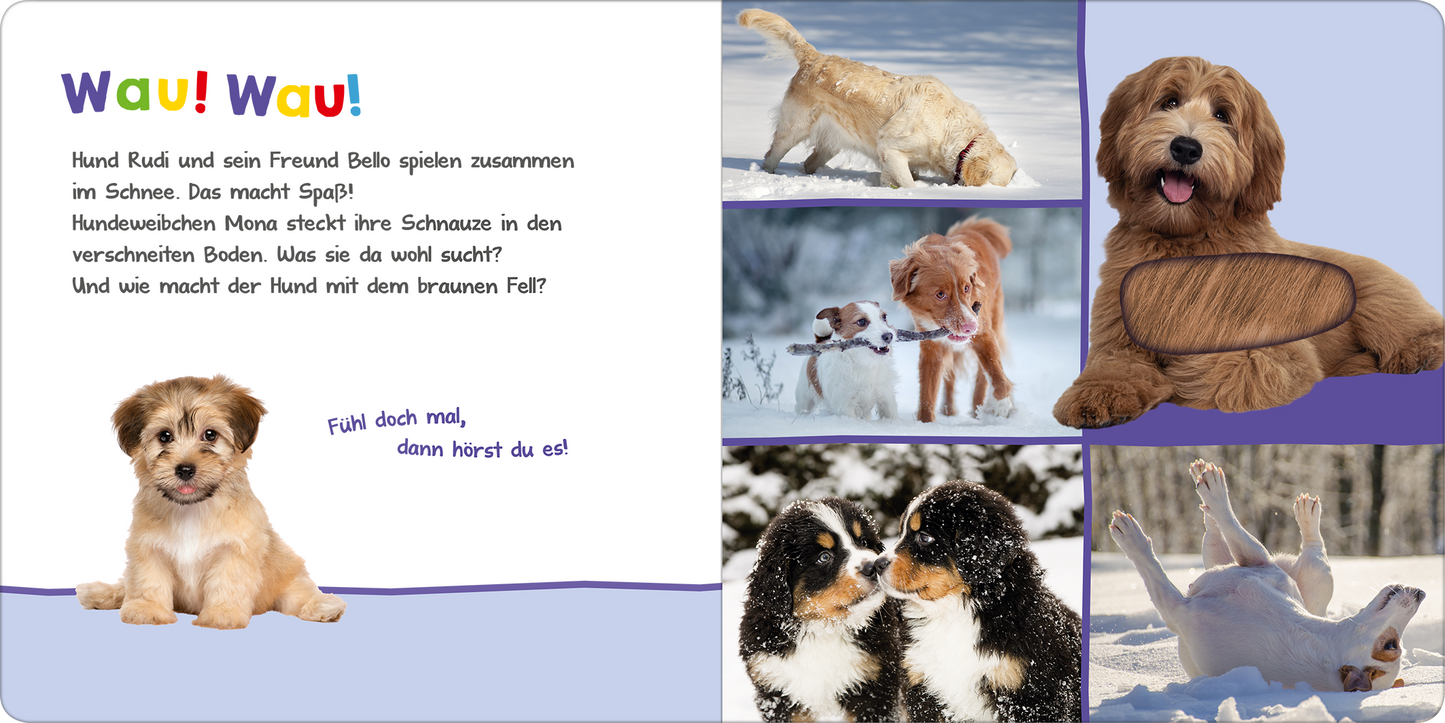 Gezeigt wird eine Innen- oder Zusatzansicht von „Hör mal rein, wer kann das sein? – Kleine Tiere im Schnee“. Die Seite ist in sanften Pastellfarben gestaltet, wobei ein hellblauer Hintergrund dominiert. Links befindet sich ein großes, knuffiges Hundebild mit einem beschriftenden Text in bunter, verspielter Typografie. Rechts sind mehrere Bilder von Hunden, die im Schnee spielen, sowie eine dialogartige Textblase in fröhlicher Schrift. Die Anordnung vermittelt eine einladende und...
