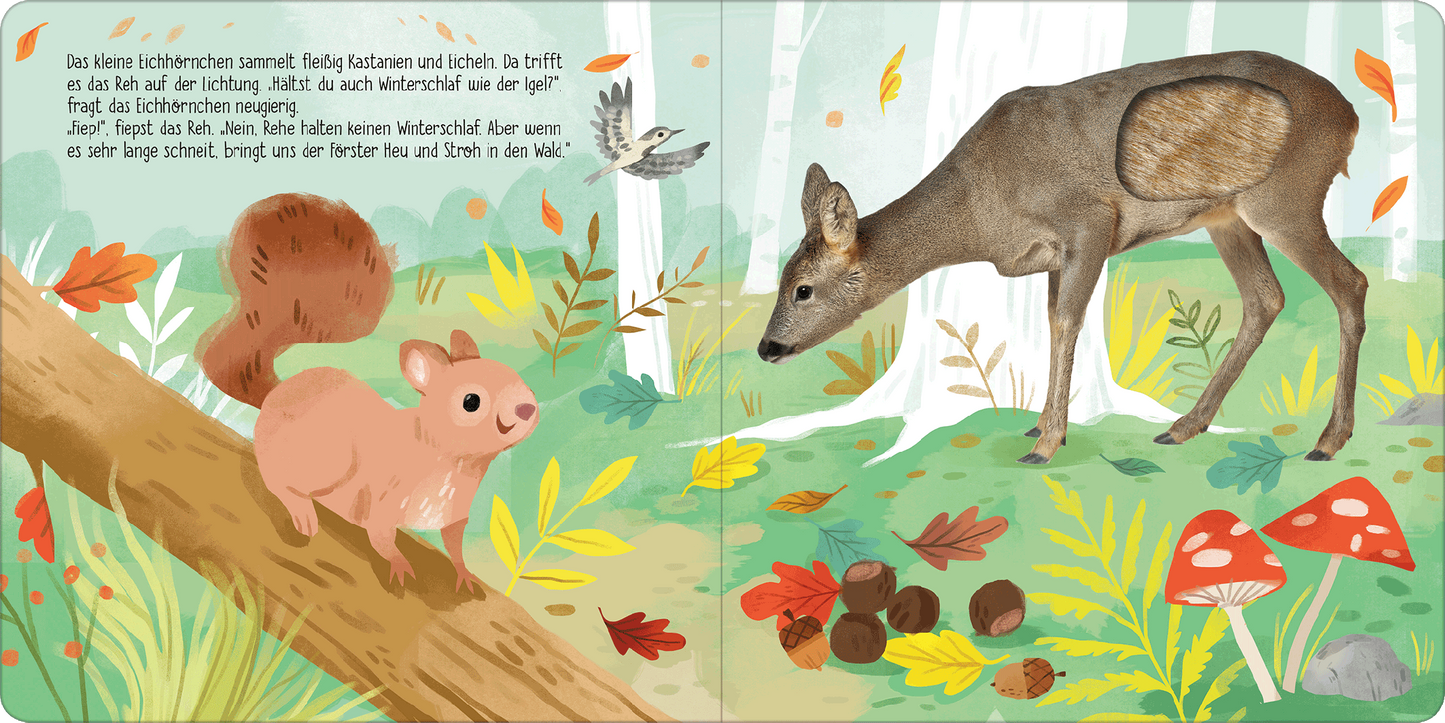 Gezeigt wird eine Innen- oder Zusatzansicht von „Hör mal, kleines Eichhörnchen!“. Die Illustration zeigt ein niedliches, braunes Eichhörnchen, das Kastanien sammelt und in einer bunten, herbstlichen Waldlandschaft spielt. Im Hintergrund steht ein scheues Reh neben einem kleinen Vogel. Die Farbpalette umfasst sanfte Erdtöne, Grün und warme Rottöne. Die freundliche, verspielte Typografie ist kindgerecht und verstärkt die einladende Atmosphäre der Seite. Detailreiche Pflanzen und Pilze...