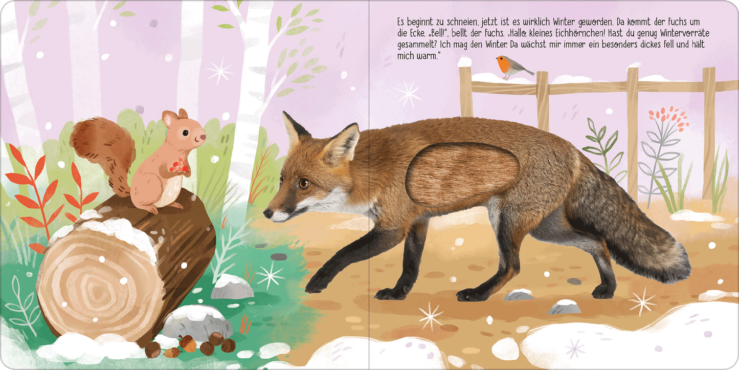 Gezeigt wird eine Innen- oder Zusatzansicht von „Hör mal, kleines Eichhörnchen!“. Die Illustration zeigt ein niedliches Eichhörnchen, das auf einem Baumstumpf sitzt, während ein Fuchs auf dem Boden vorbeischreitet. Die Farben sind sanft und pastellartig, mit einem hellen Hintergrund aus Bäumen. Die Schrift ist kindgerecht und leicht lesbar, mit freundlichen, verspielten Buchstaben, die die freundliche Atmosphäre der Geschichte unterstreichen.