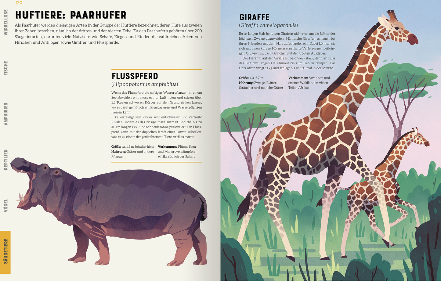 Gezeigt wird eine Innen- oder Zusatzansicht von „Das große Lexikon der Tiere“. Auf der linken Seite ist ein Fluss-Pferd abgebildet, in kräftigen, dunklen Farbtönen mit einer informativen Beschreibung daneben, die wichtige Fakten enthält. Auf der rechten Seite sind eine Giraffe und ihr Jungtier dargestellt, umgeben von grünen Pflanzen. Die Grafik ist in sanften, hellen Farben gehalten. Die Typografie ist klar und gut lesbar, hervorhebende Details sind durch Dicken und Schriftarten...