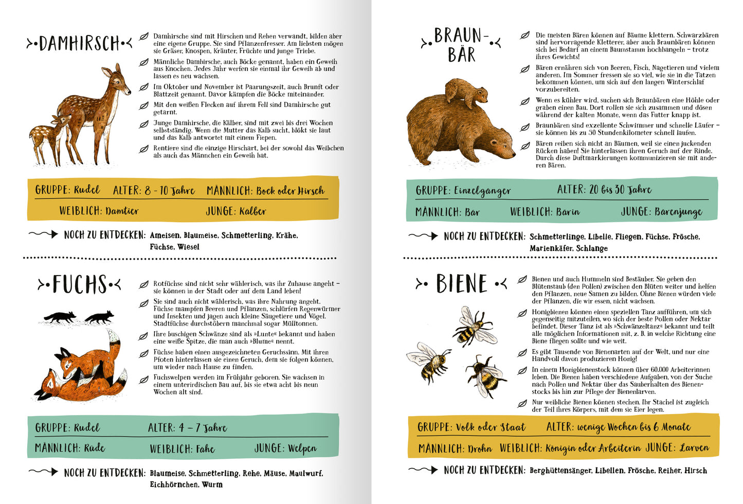Gezeigt wird eine Innen- oder Zusatzansicht von „Wald der Wunder“. Die Seite enthält illustrierte Tierbeschreibungen mit bunten, handgezeichneten Bildern. Die Farben variieren von sanften Erdtönen bis zu lebhaften Akzenten. Auf der linken Seite sind der Damhirsch und der Fuchs mit ihren Informationen in einem gelben und grünen Kasten hervorgehoben. Die rechte Seite zeigt den Braunbären und die Biene in ähnlichen Kästen. Die Schrift ist klar und gut lesbar, ergänzt von verspielten...