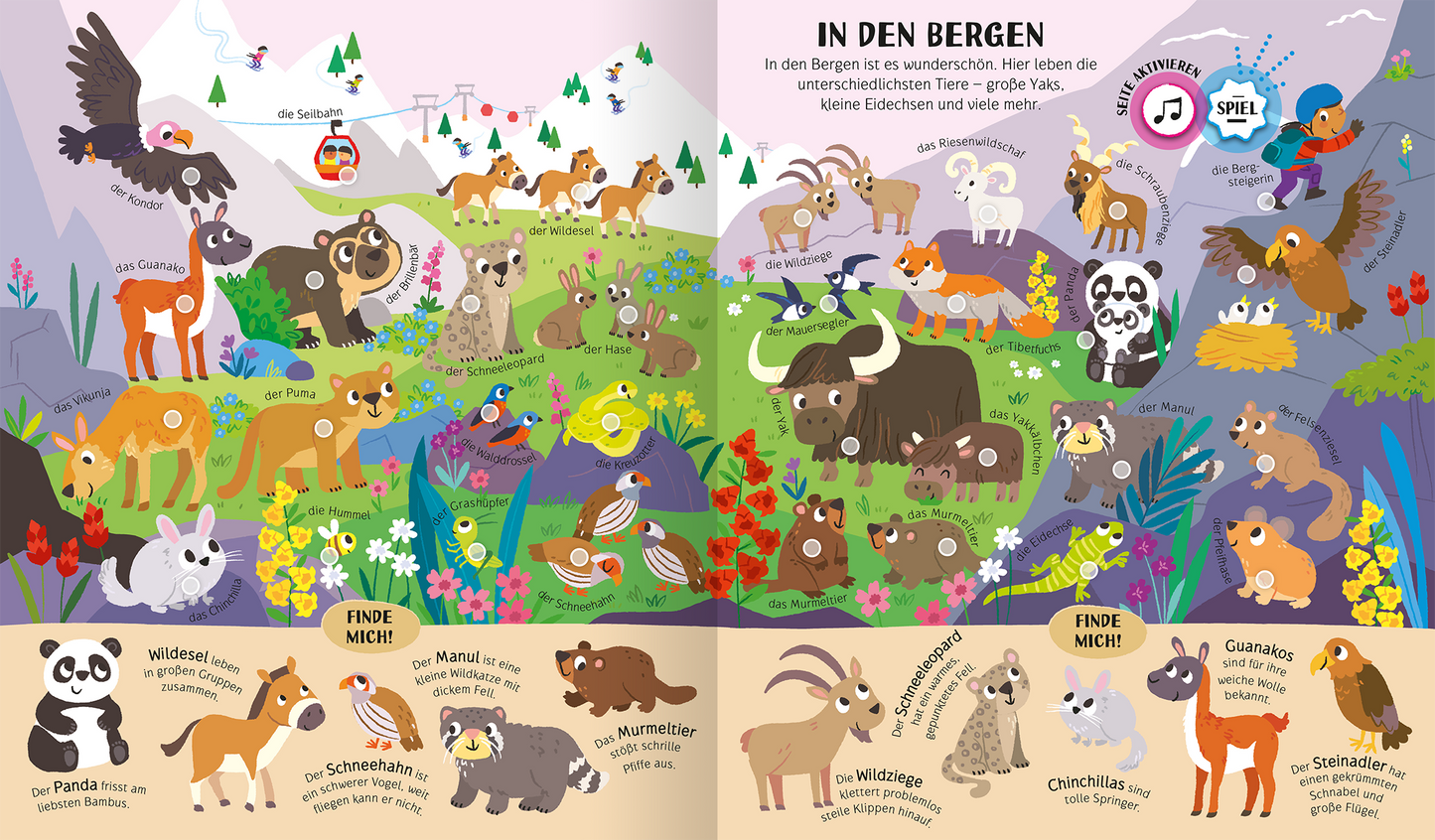 Gezeigt wird eine Innen- oder Zusatzansicht von „Mein riesengroßes Soundbuch Tiere“. Die bunte Illustration zeigt verschiedene Tiere in einem Bergland. In der oberen Hälfte befinden sich lebhaft darstellte Tiere wie Yaks und Bergziegen, umgeben von grünen Wiesen und bunten Blumen. Die Farbpalette umfasst sanfte Pastelltöne und kräftige Akzente. Die Typografie ist freundlich und verspielt, mit großen, gut lesbaren Schriftarten und informativen Texten zu den Tieren.