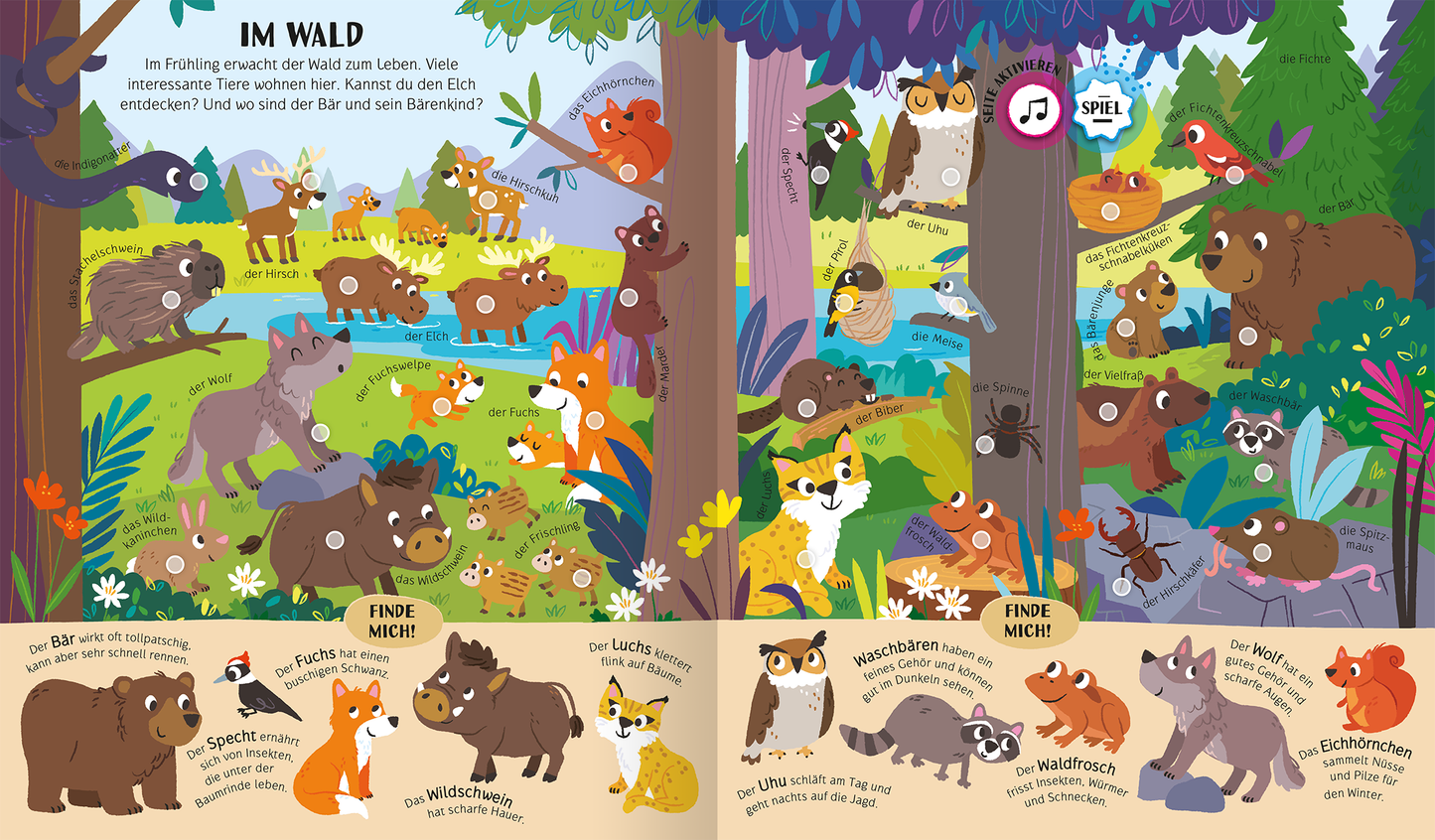 Gezeigt wird eine Innen- oder Zusatzansicht von „Mein riesengroßes Soundbuch Tiere“. Die farbenfrohe Illustration zeigt einen lebendigen Wald mit verschiedenen Tieren wie Bären, Füchsen und Eulen, die in einer fröhlichen Umgebung platziert sind. Die Unterschiede in den farbenfrohen Pflanzen, Bäumen und dem klaren Himmel sind deutlich, während charakteristische, kindgerechte Zeichnungen die Tierarten repräsentieren. Der Text ist in großer, klarer Schrift gehalten und lädt zum...