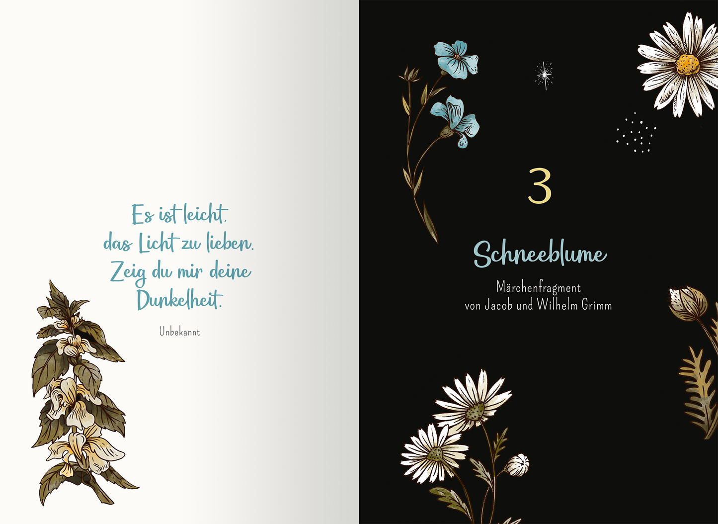 Gezeigt wird eine Innen- oder Zusatzansicht von „Von Hexen und Raunächten. 24 magische Geschichten“. Auf der linken Seite ist ein sanfter, heller Hintergrund mit der Aufschrift „Es ist leicht: das Licht zu lieben. Zeig du mir deine Dunkelheit.“ in einer geschwungenen, blauen Schrift. Die rechte Seite präsentiert einen tiefschwarzen Hintergrund mit der großen, weißen Ziffer „3“ und dem Titel „Schneeblume“ in eleganter, heller Schrift. Florale Illustrationen in sanften Farben...