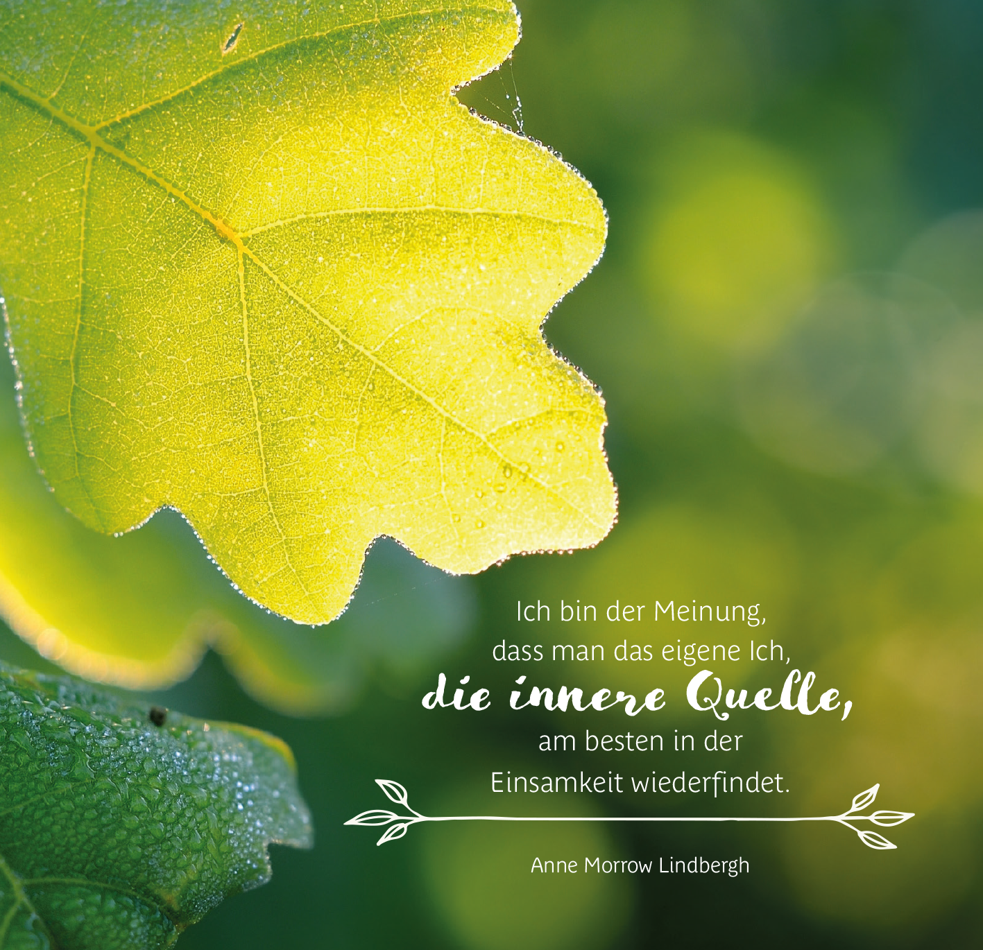 Gezeigt wird eine Innen- oder Zusatzansicht von „Uralte Weisheiten der Bäume“. Im Vordergrund ist ein leuchtend grünes Blatt, das von einem zarten Licht beleuchtet wird. Der Hintergrund ist verschwommen und wirkt harmonisch in verschiedenen Grüntönen. Rechts befindet sich ein Zitat in eleganter, geschwungener Schrift, das in einem warmen, sanften Farbton gestaltet ist. Darunter findet sich der Name der Autorin, eingebettet in eine dekorative Linie.