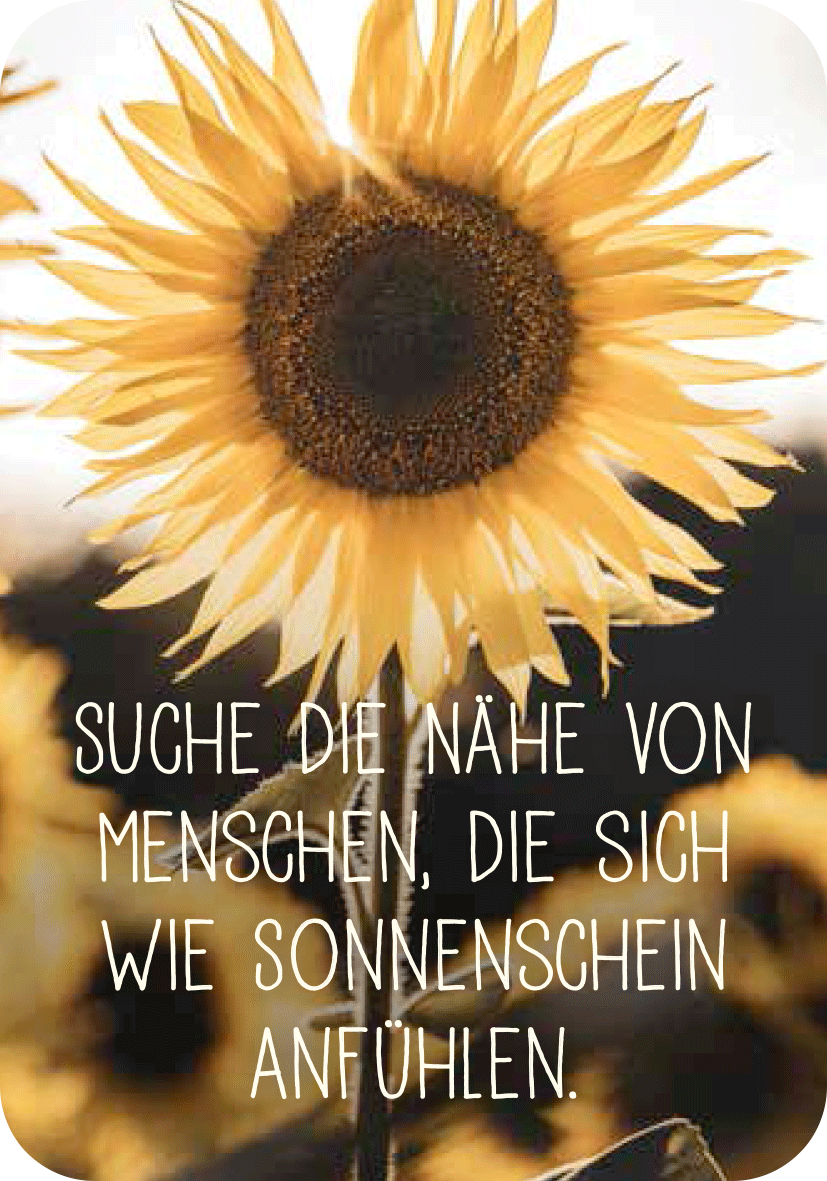 Gezeigt wird eine Innen- oder Zusatzansicht von „Achtsamkeit für den Löwen“. Die Ansicht zeigt eine strahlende Sonnenblume im Fokus, umgeben von sanften, verschwommenen Hintergründen. Der Text „Suche die Nähe von Menschen, die sich wie Sonnenschein anfühlen“ steht in großer, weißer Schrift, die verspielt und einladend wirkt. Die Farbpalette ist warm, dominiert von Gelb- und Erdtönen, die eine freundliche Atmosphäre erzeugen.