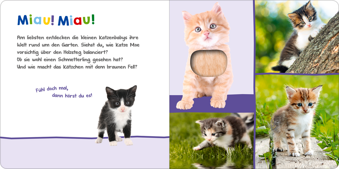 Gezeigt wird eine Innen- oder Zusatzansicht von „Hör mal rein, wer kann das sein? – Tierkinder im Frühling“. Die Seite präsentiert eine helle, freundliche Farbpalette mit sanften Pastelltönen. Auf der linken Seite ist ein Textfeld mit der Aufschrift „Miau! Miau!“ und einem kurzen Einführungstext in verspielter Schrift. Rechts sind süße Kätzchen in verschiedenen Posen abgebildet, darunter eine Katze, die mit einem Schmetterling spielt. Ein runder Ausschnitt ermöglicht es,...