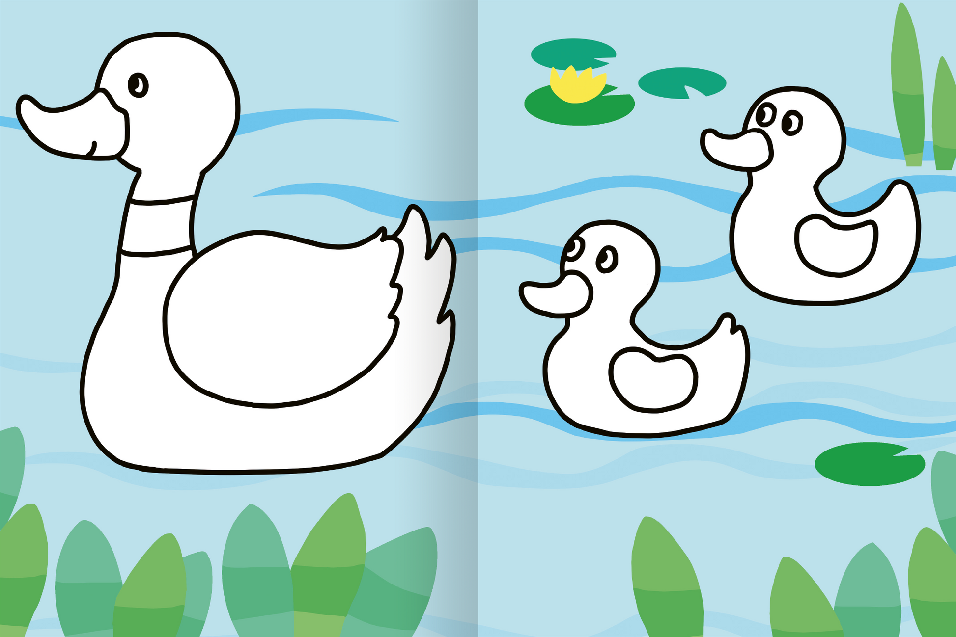 Gezeigt wird eine Innen- oder Zusatzansicht von „Mein allererstes großes Malbuch – Tiere“. Die Illustration zeigt eine Landschaft mit einer Entenmutter und ihren zwei Küken in einem blauen Gewässer. Die Enten sind in klaren, einfachen Linien gezeichnet und warten darauf, ausgemalt zu werden. Um sie herum befinden sich grüne Wasserpflanzen und Seerosen, die eine freundliche und einladende Atmosphäre schaffen. Der Hintergrund ist hellblau, was zu einem fröhlichen Gesamtbild beiträgt.