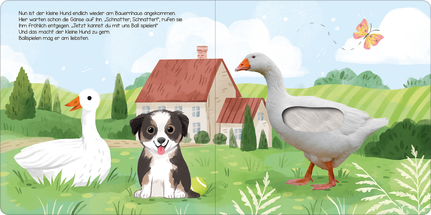 Gezeigt wird eine Innen- oder Zusatzansicht von „Hör mal, kleiner Hund!“. Die Szene zeigt einen kleinen Hund mit brauner und weißer Fellzeichnung, der im Vordergrund sitzt. Links steht eine weiße Gans und rechts eine graue Gans. Im Hintergrund ist ein rotes Bauernhaus mit einem Giebel und einem grünen Garten zu sehen. Die Farben sind lebhaft und fröhlich, mit viel Grün und Blau. Die Schrift ist kindgerecht und einladend.