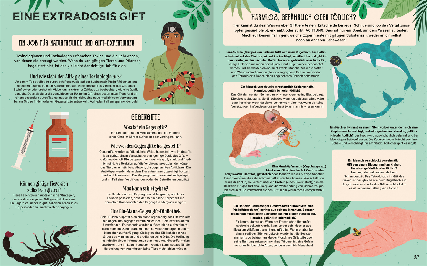 Gezeigt wird eine Innen- oder Zusatzansicht von „Giftig!“. Die Seiten sind in sanften Grüntönen und Pastellfarben gehalten. Links ist eine Illustration einer Person, die eine Schlange hält, begleitet von Bildern eines Medikaments und einer Spritze. Rechts sind verschiedene Meerestiere sowie eine Ratte abgebildet. Die Typografie ist modern und gut lesbar, mit klaren Überschriften und informativen Textkästen, die zusätzliche Informationen zu Gegenmitteln und Giftstoffen bieten.